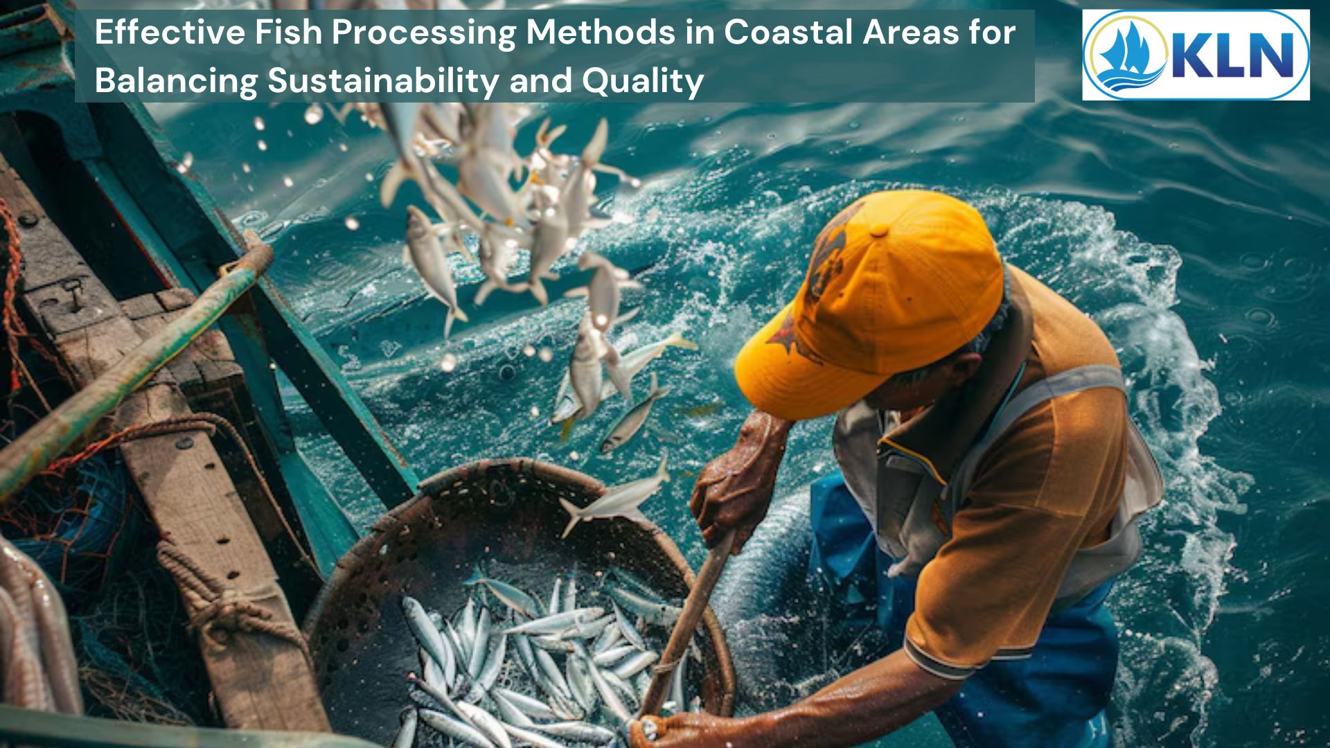 Effective Fish Processing Methods in Coastal Areas for Balancing Sustainability and Quality